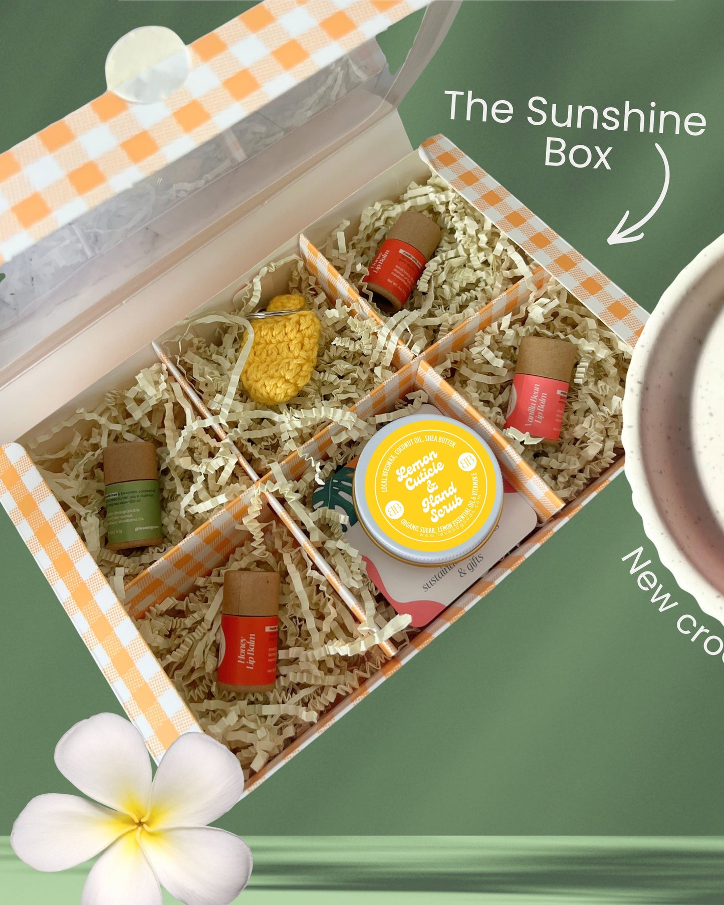 Sunshine box