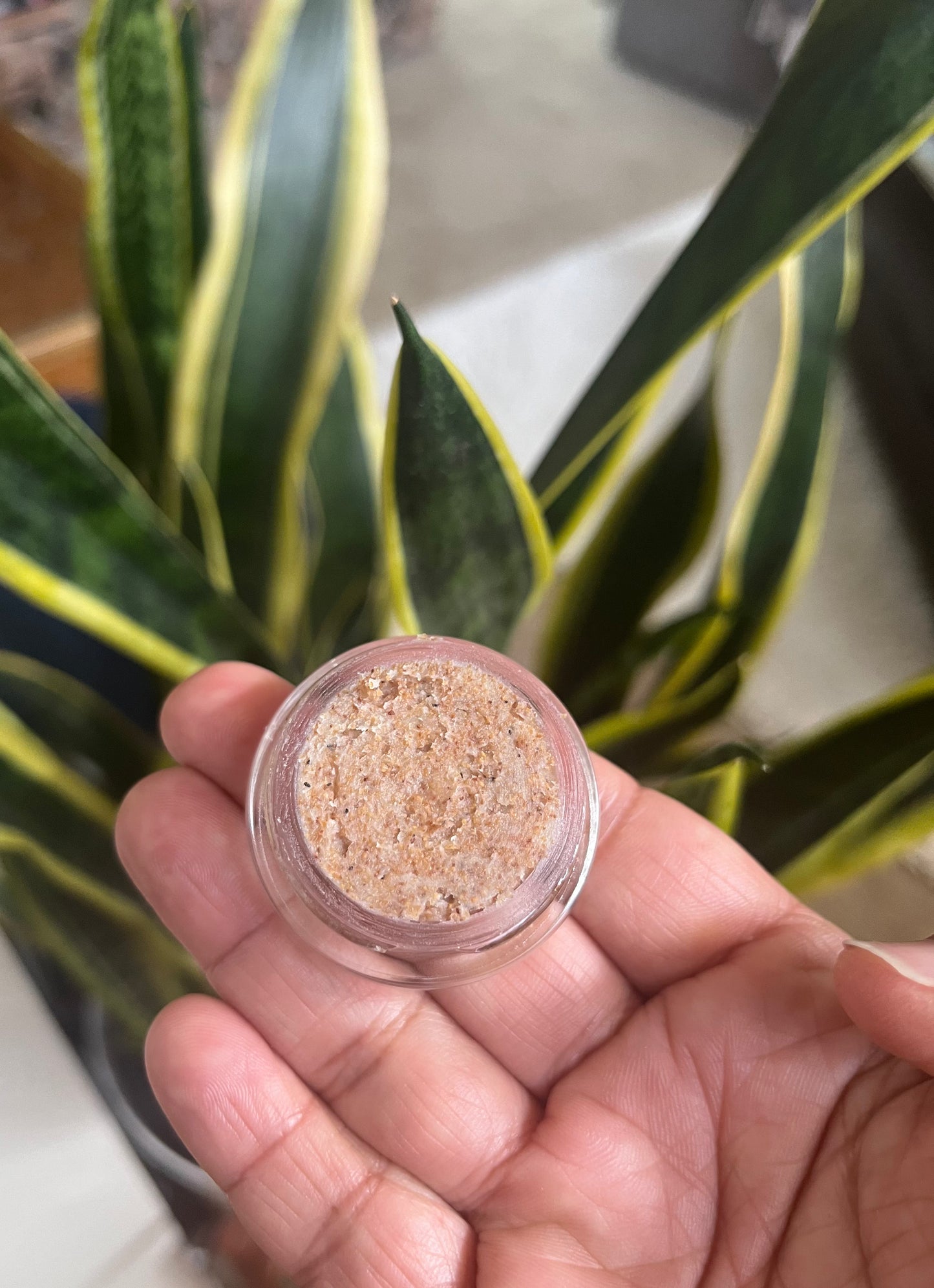 Minty Walnut Lip Scrub | Exfoliating & Hydrating | loveBB
