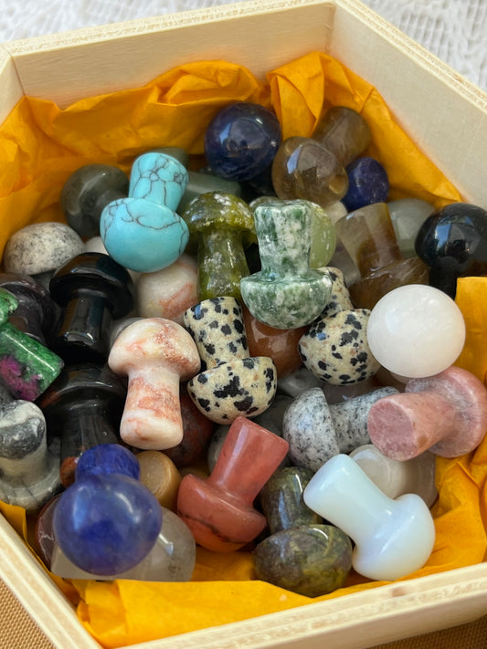 Stone mushrooms